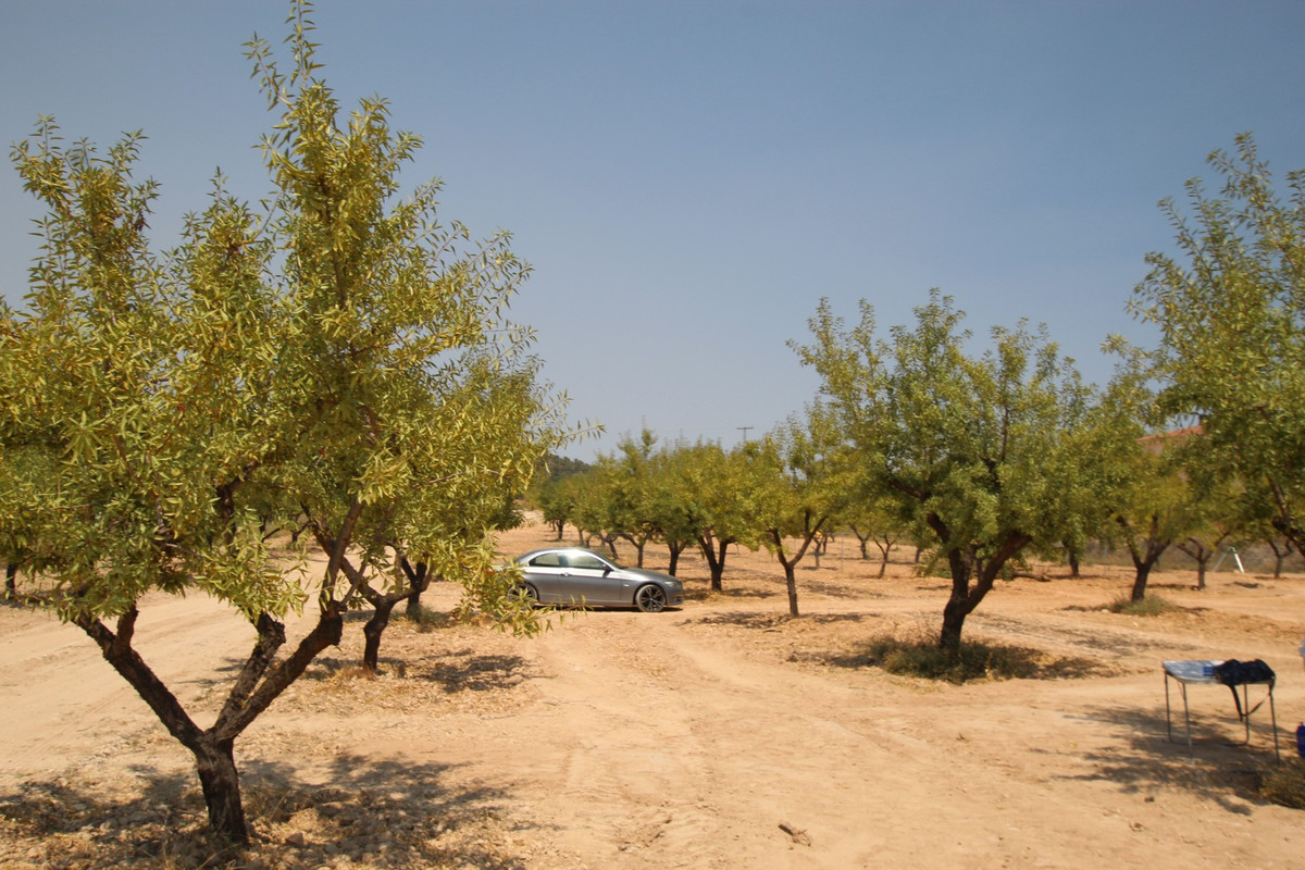 Property main view 28