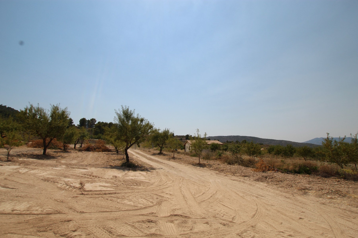 Property main view 30