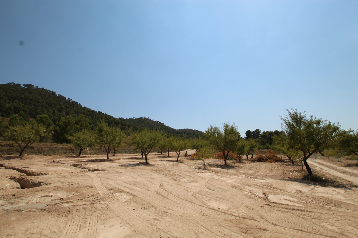 Property main view 31