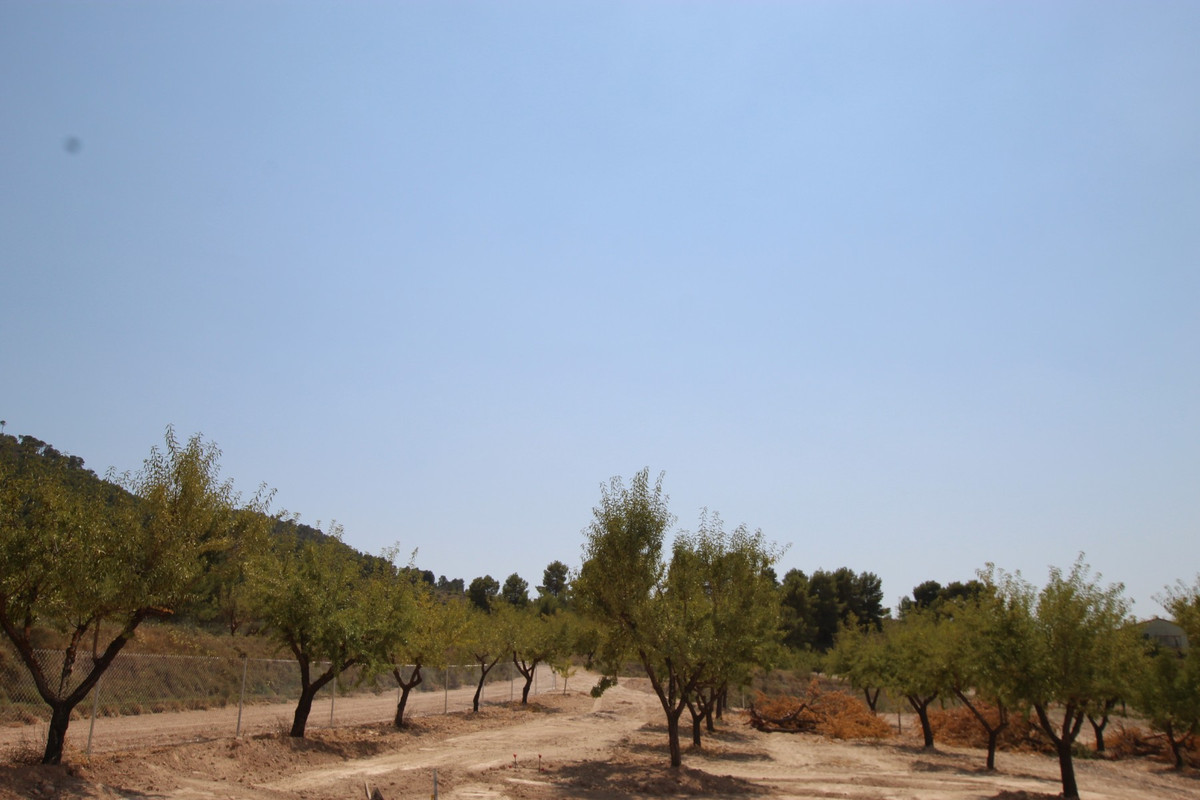 Property main view 33