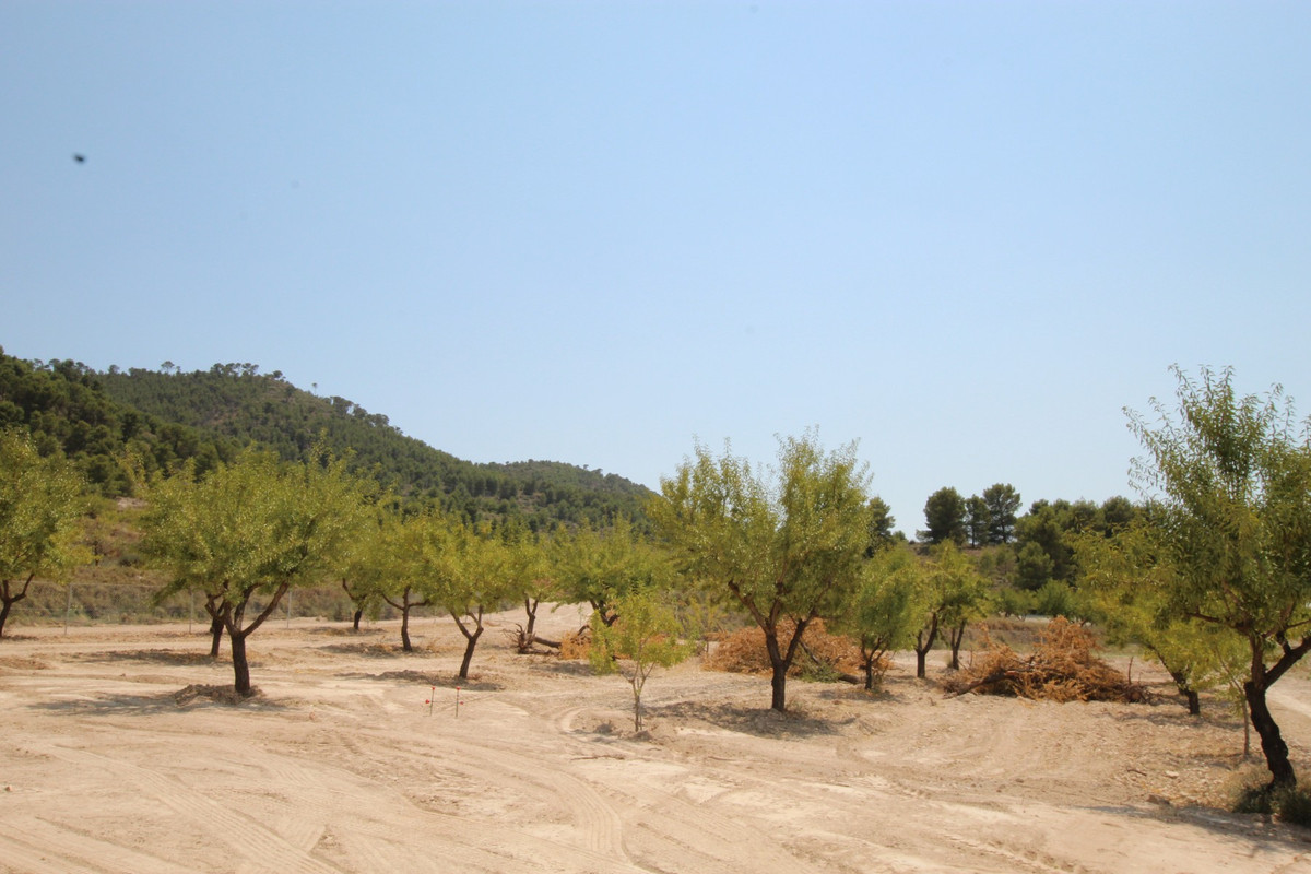 Property main view 34