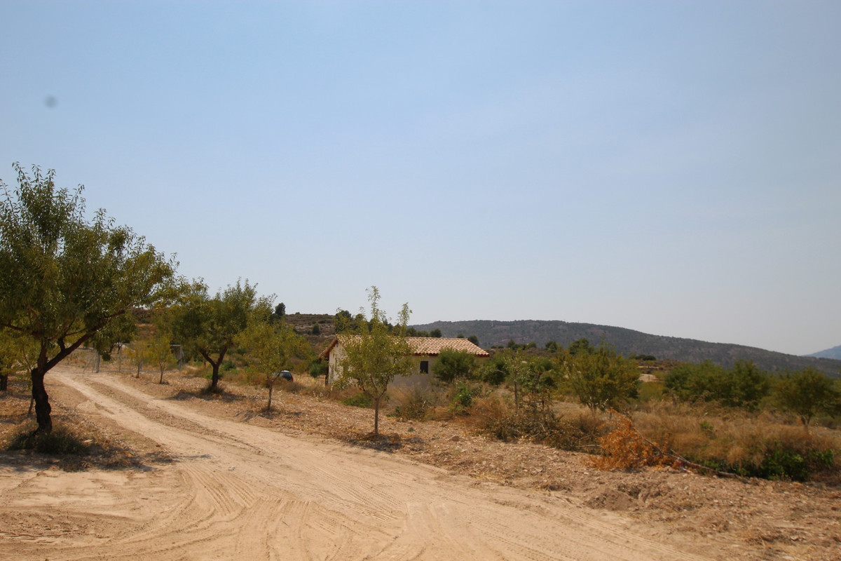Property main view 35