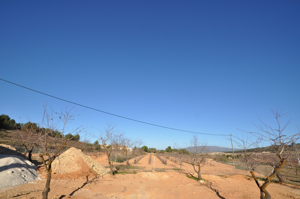 Property main view 41