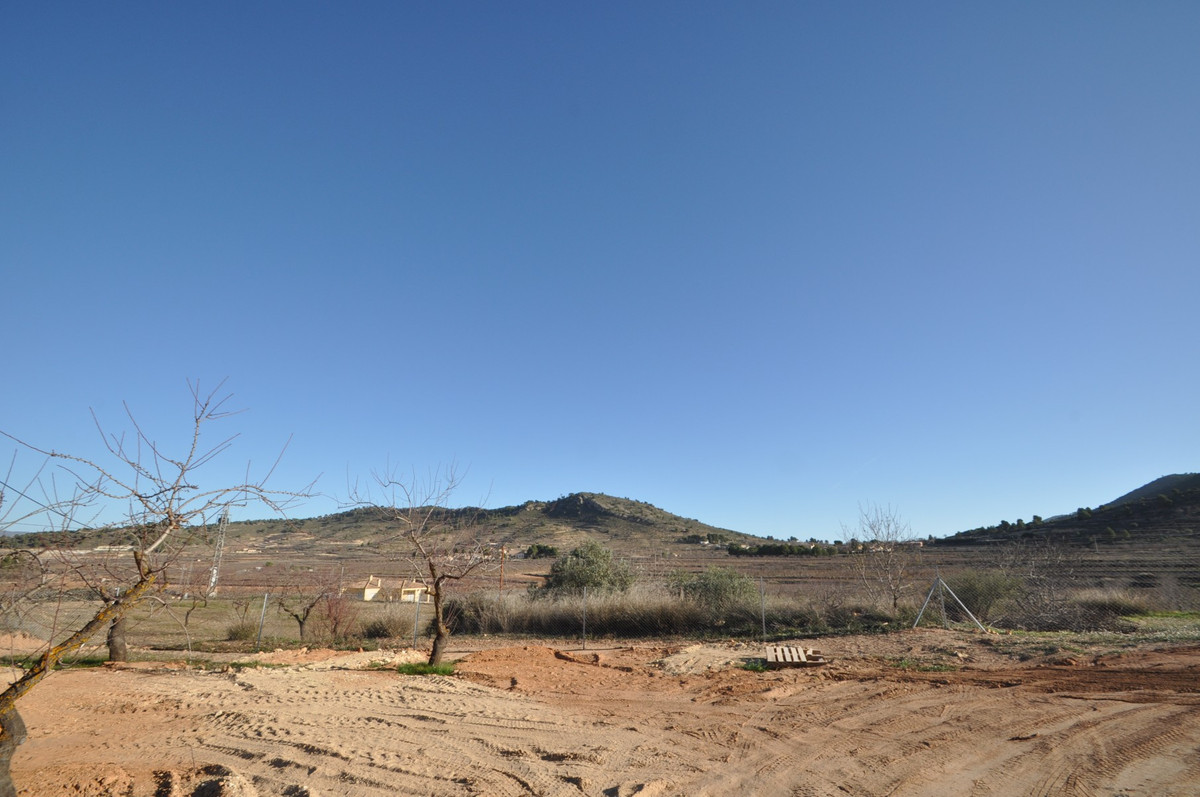 Property main view 42