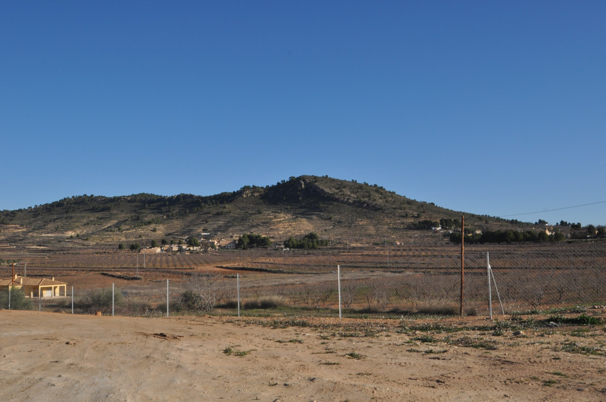 Property main view 50