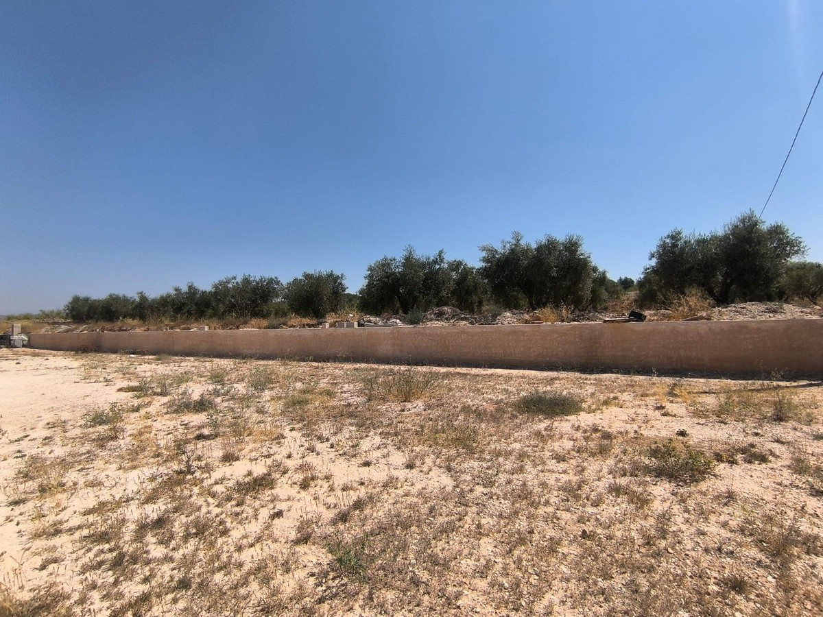 Property main view 15
