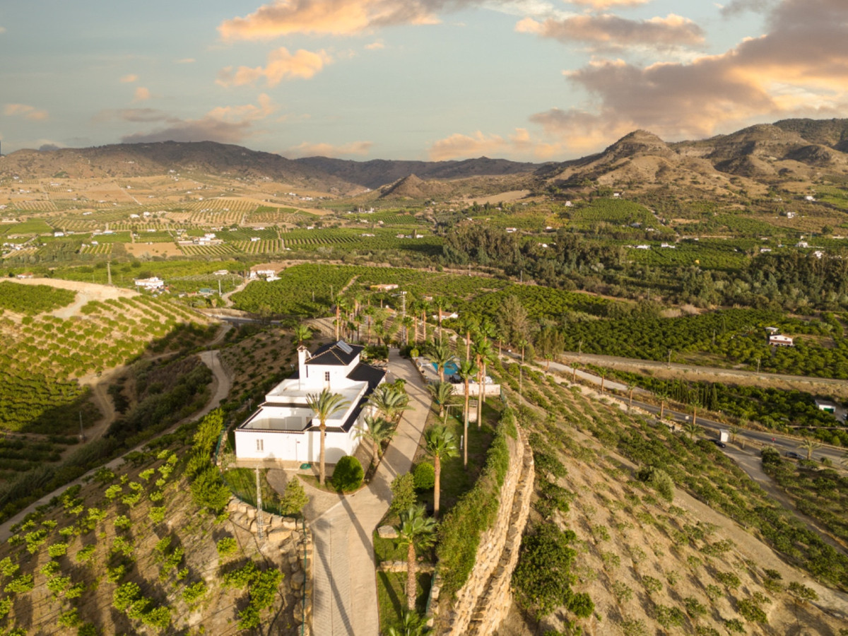 Finca - Cortijo in Pizarra-37