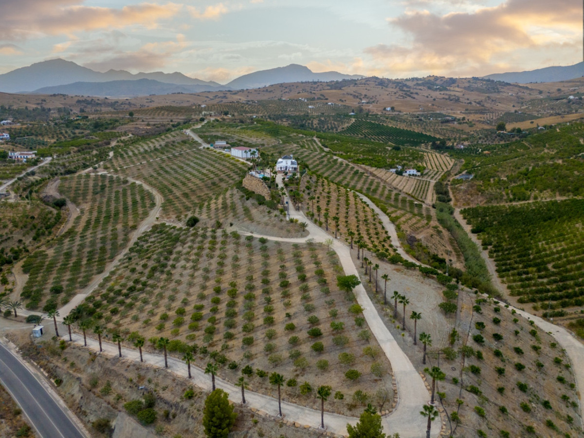 Finca - Cortijo in Pizarra-45