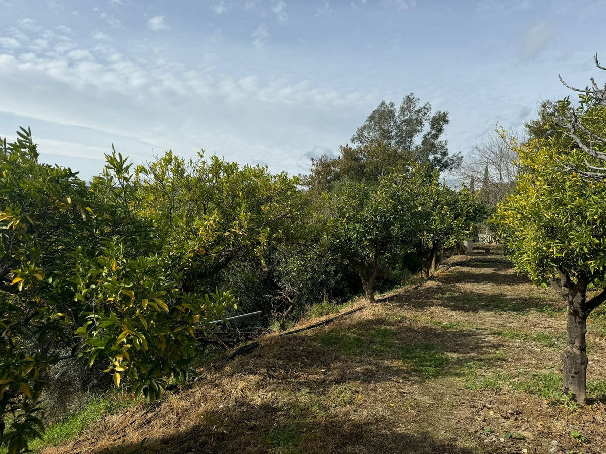 Finca - Cortijo te koop in Pizarra | 5 slaapkamers H4938049