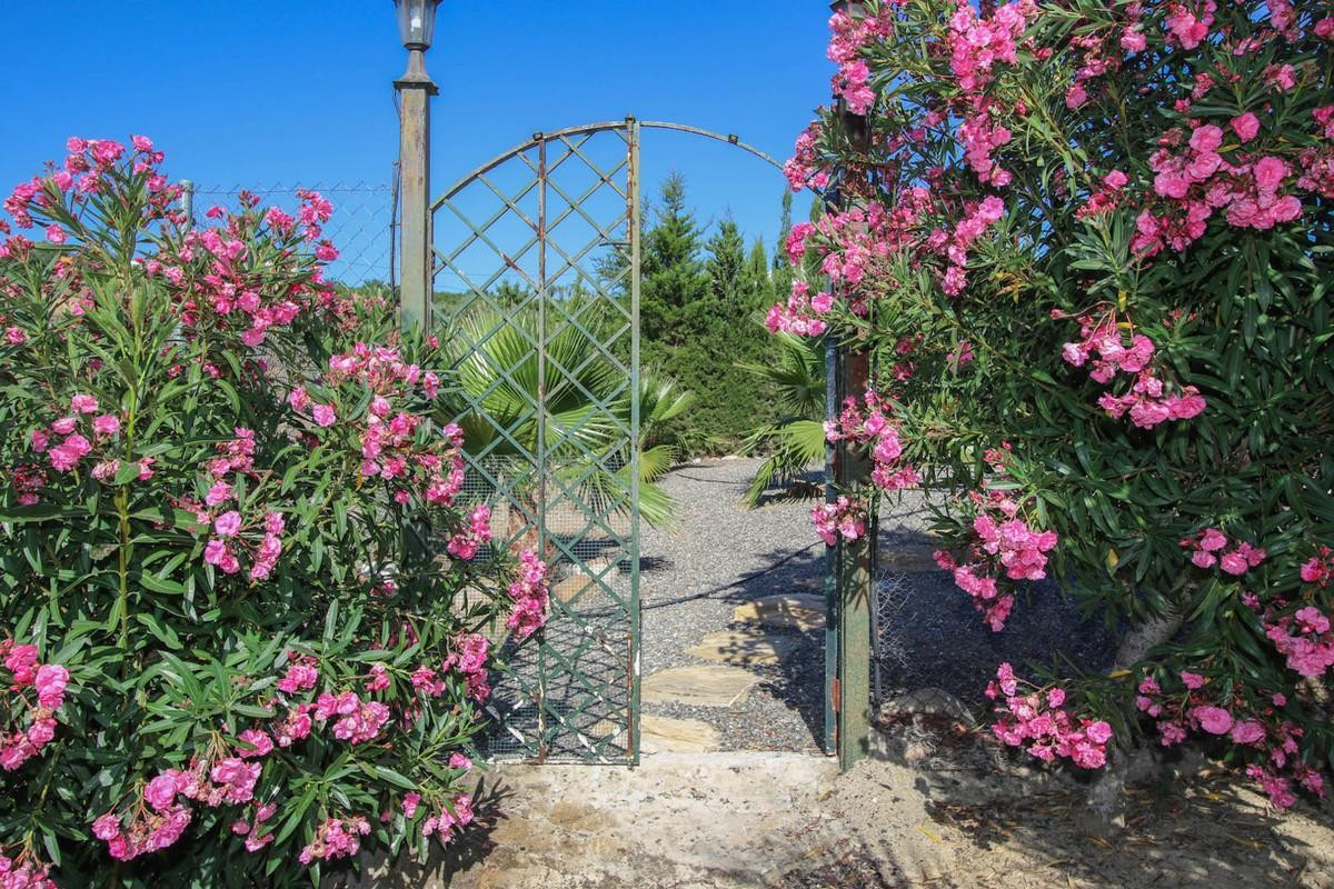 Property main view 24