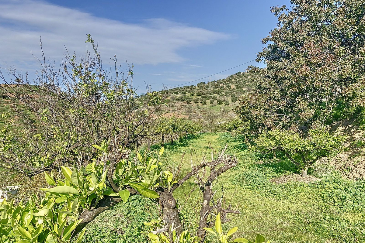 Property main view 15