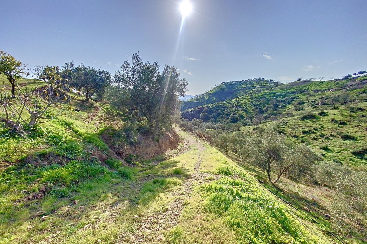 Property main view 18