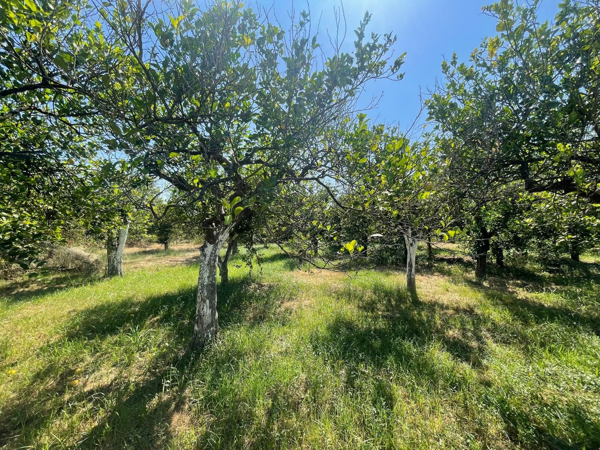 Property main view 28