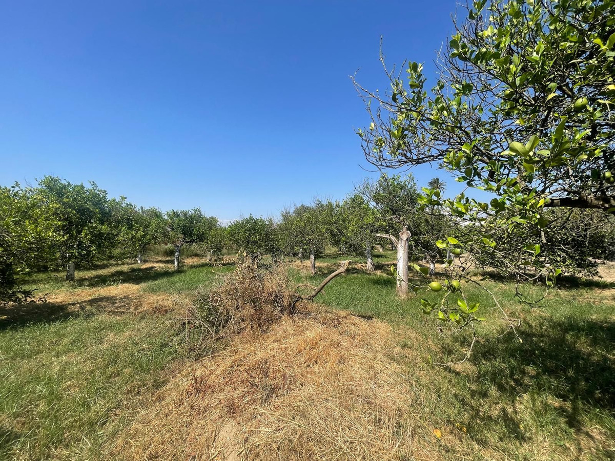 Property main view 29