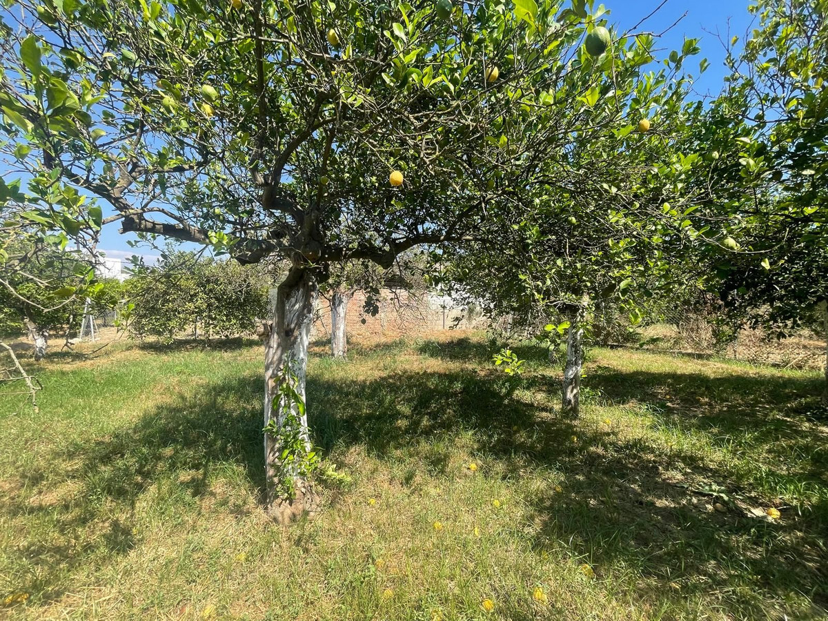Property main view 30