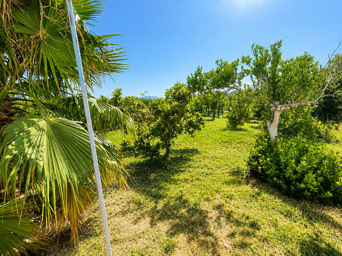 Property main view 31