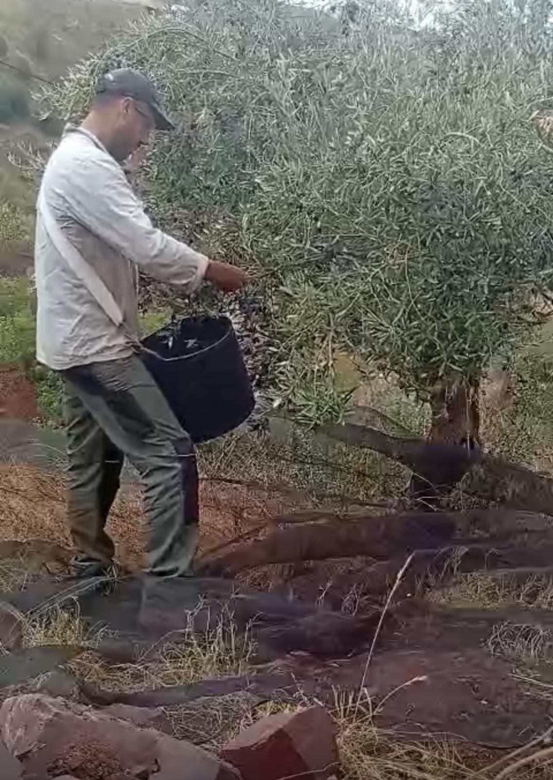 Huis te koop in Puerto de la Torre | 3 slaapkamers H5258353