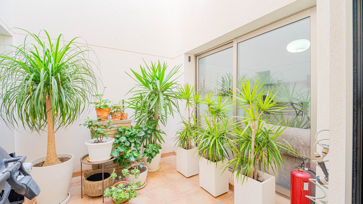 Property main view 18