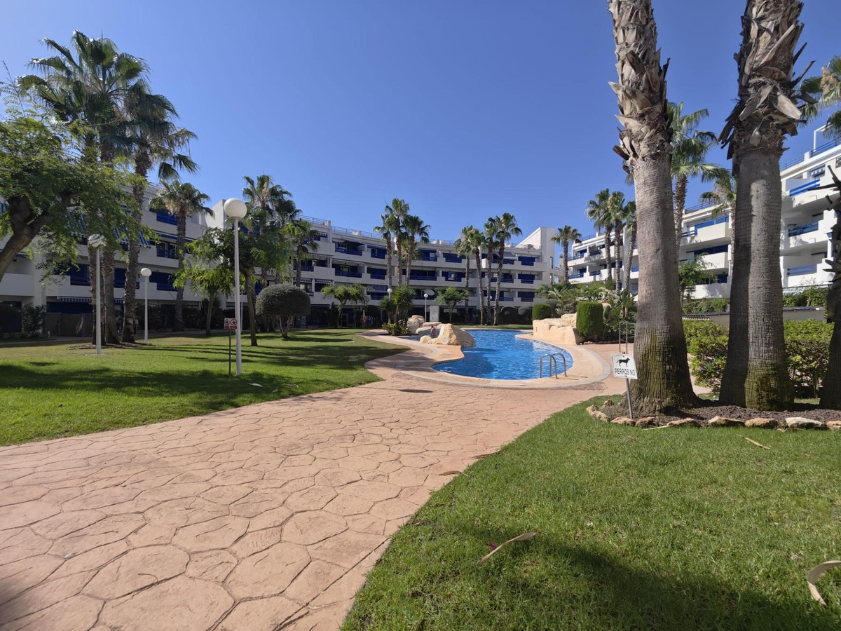 Appartement te koop in Punta Prima | 1 slaapkamers H5453665