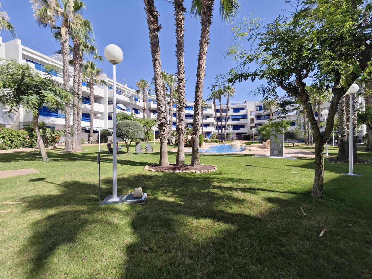 Appartement te koop in Punta Prima | 1 slaapkamers H5453665