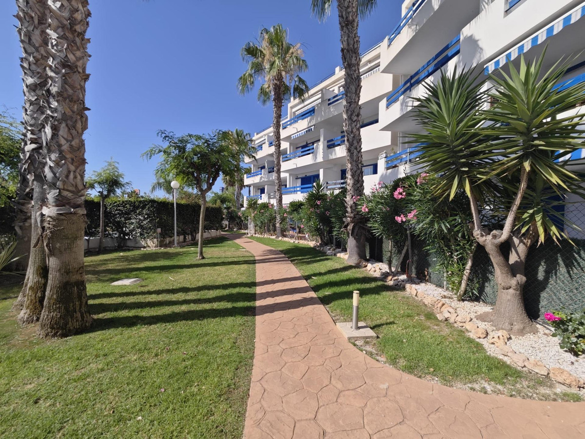 Appartement te koop in Punta Prima | 1 slaapkamers H5453665