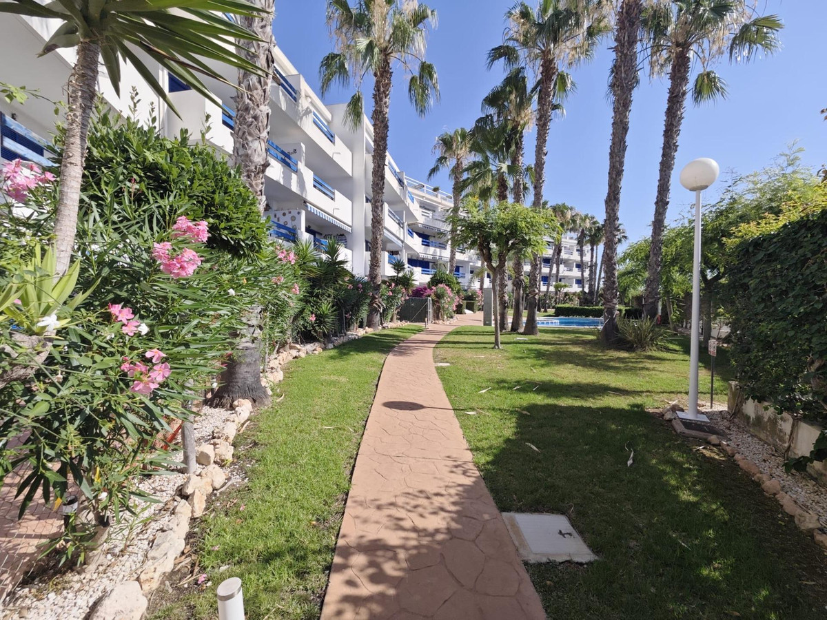 Appartement te koop in Punta Prima | 1 slaapkamers H5453665