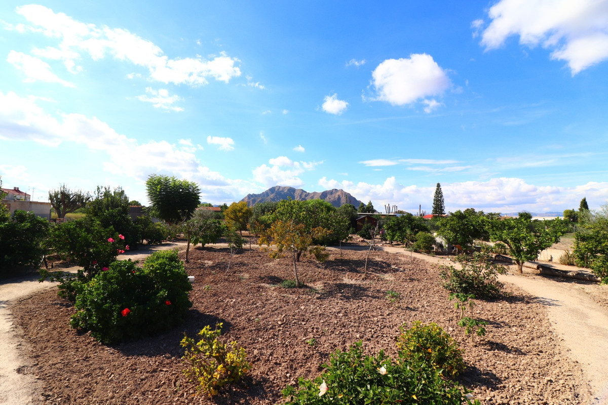 Property main view 33
