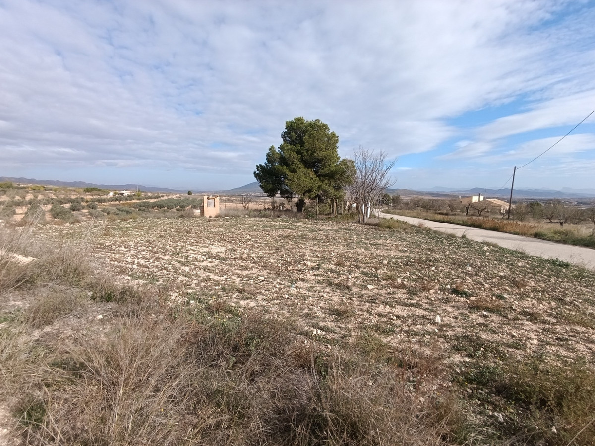 Property main view 10