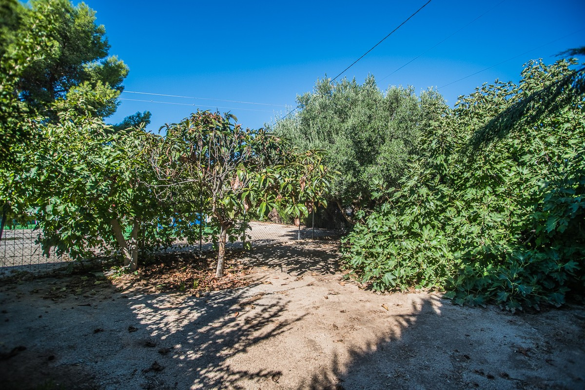Property main view 15