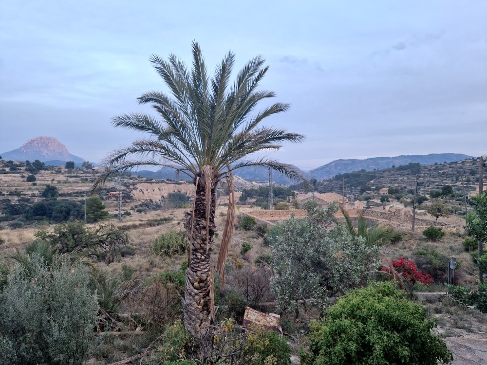 Property main view 14