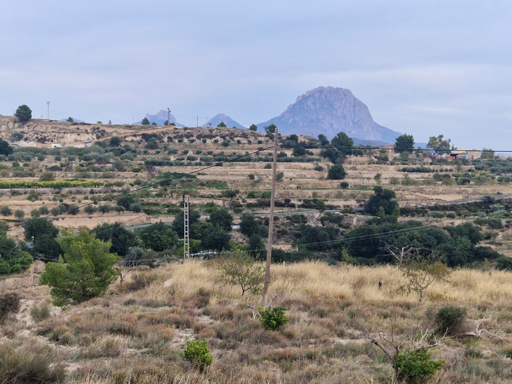 Property main view 2