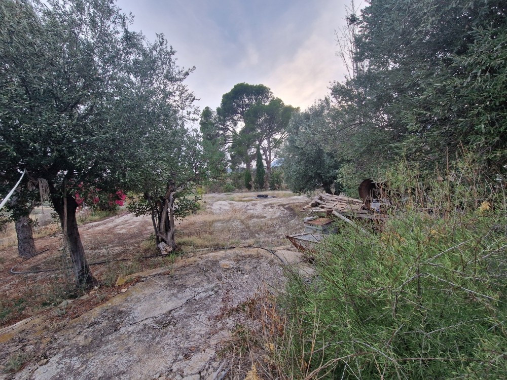 Property main view 9