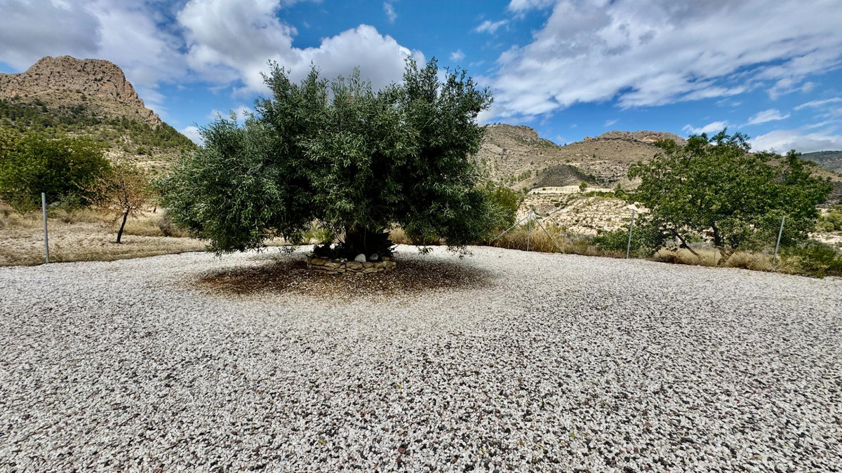 Property main view 4