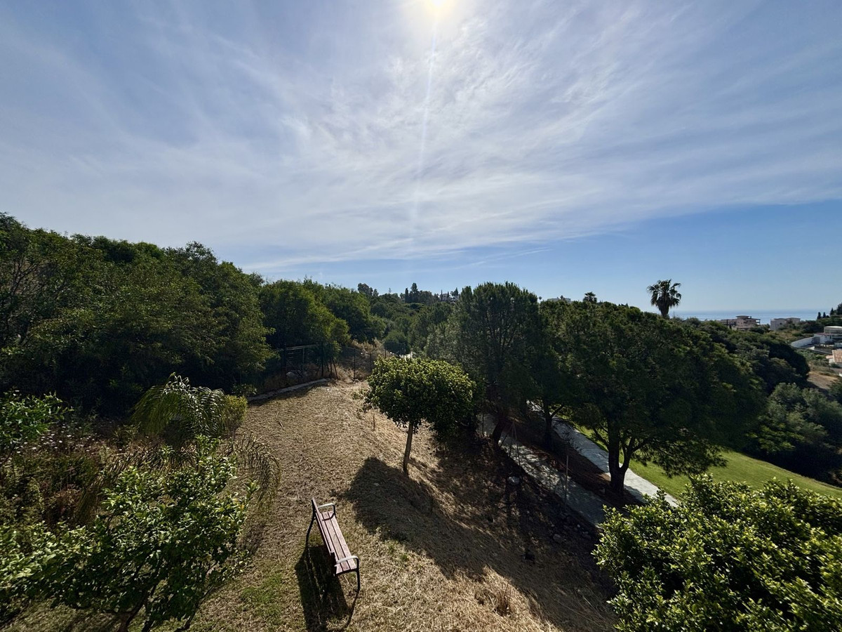 Property main view 41