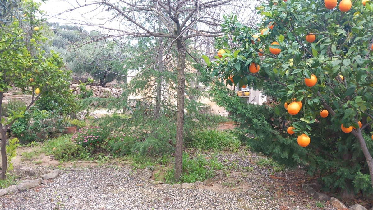 Finca - Cortijo in Riogordo-16