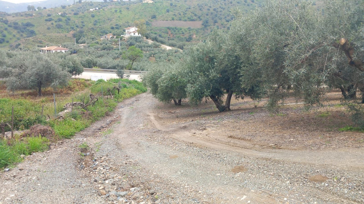 Finca - Cortijo in Riogordo-19