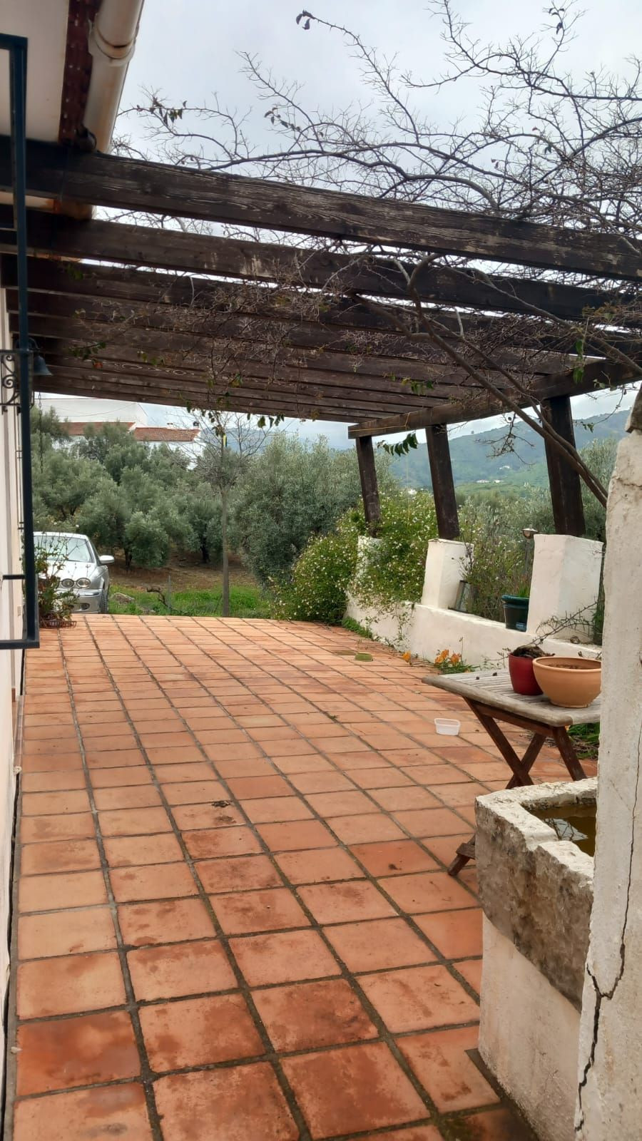 Finca - Cortijo in Riogordo-21