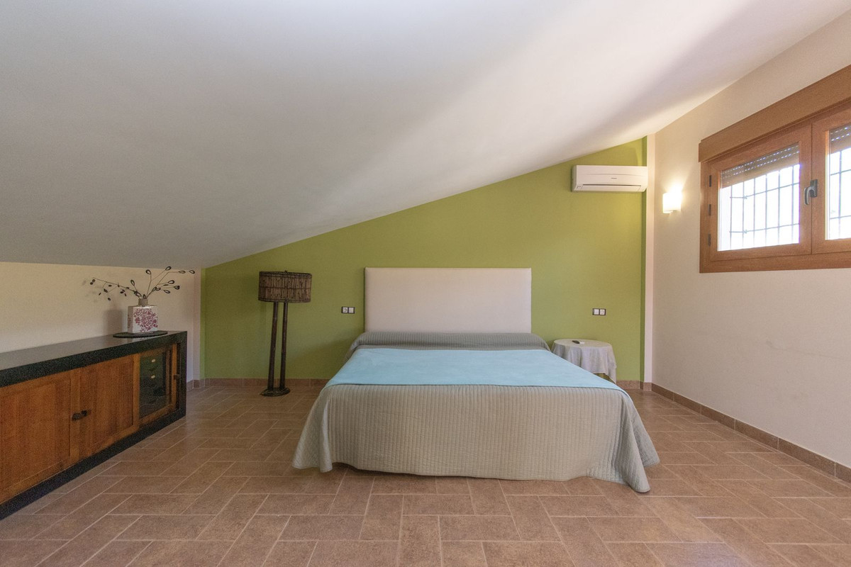 Finca - Cortijo in Riogordo-12