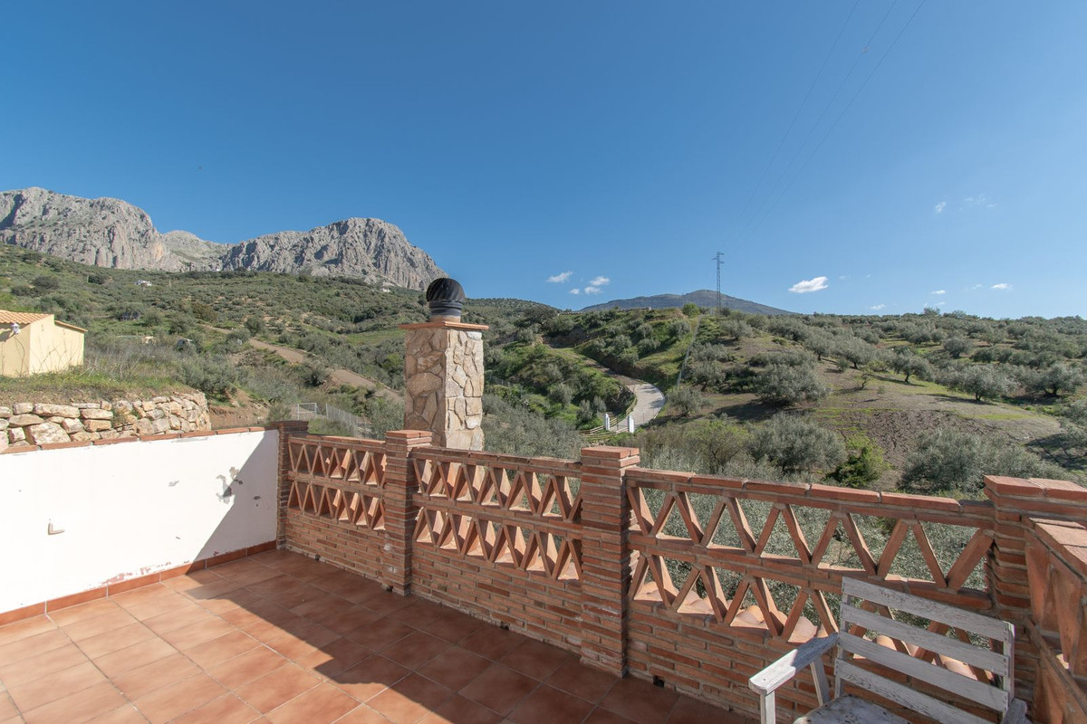 Finca - Cortijo in Riogordo-31