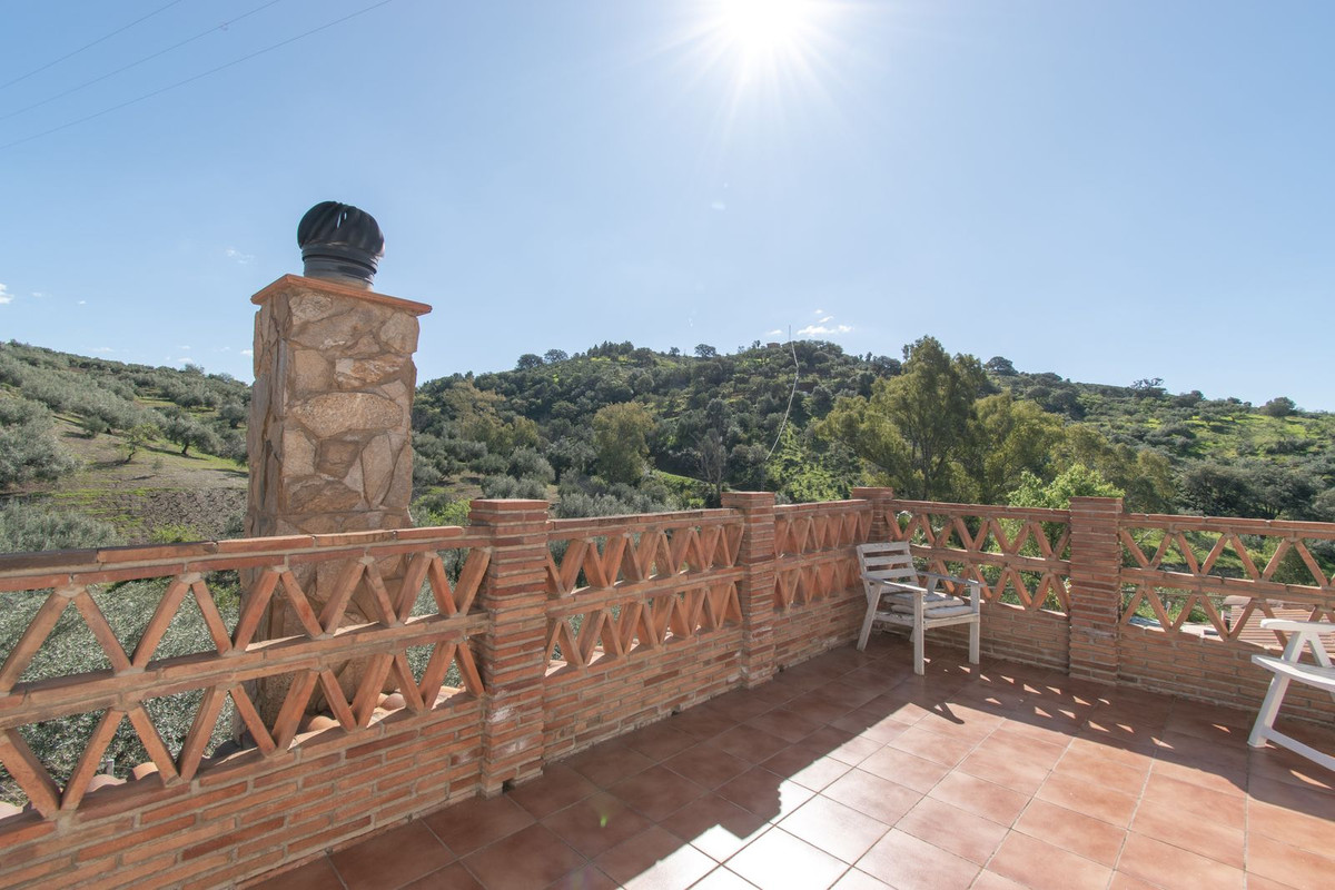 Finca - Cortijo in Riogordo-32
