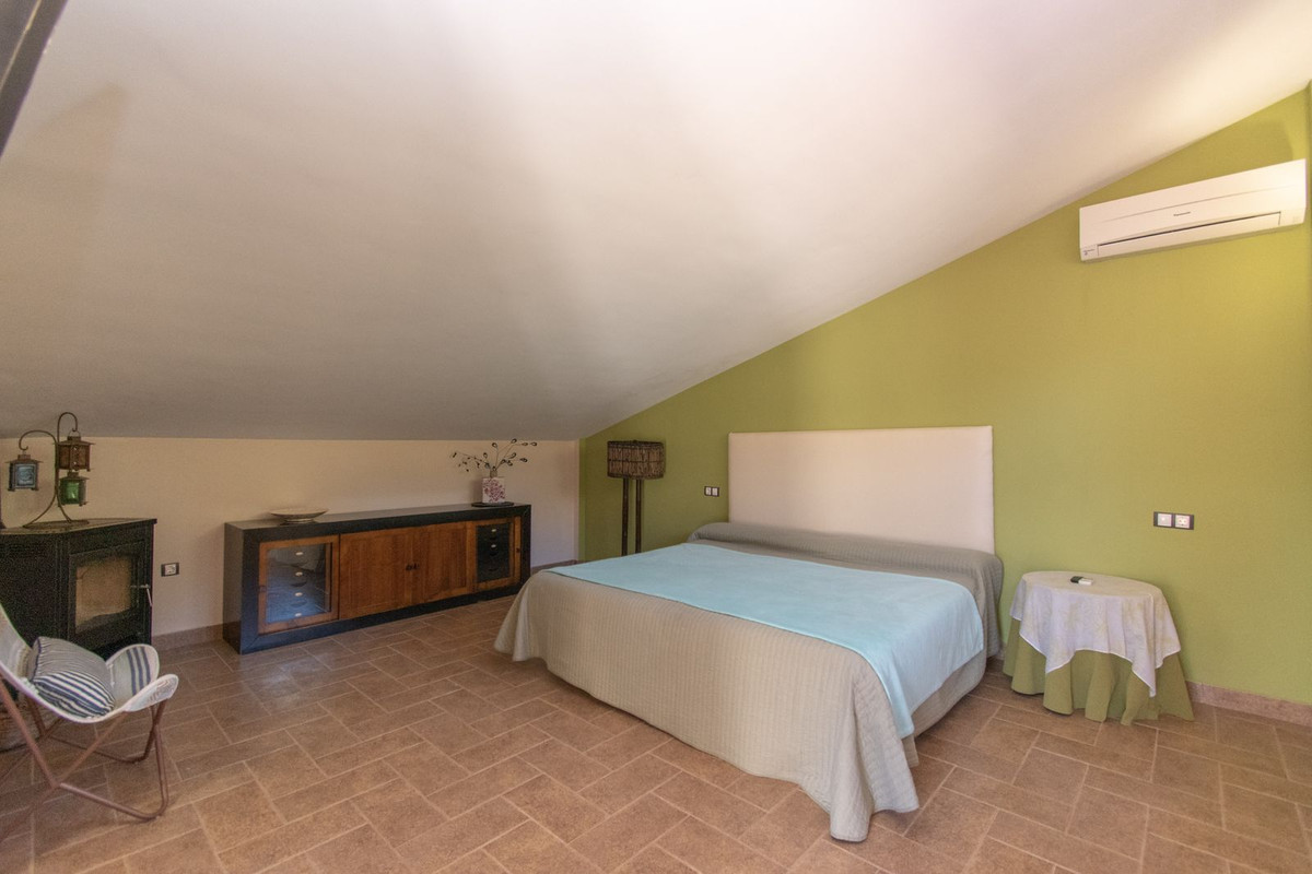 Finca - Cortijo in Riogordo-34