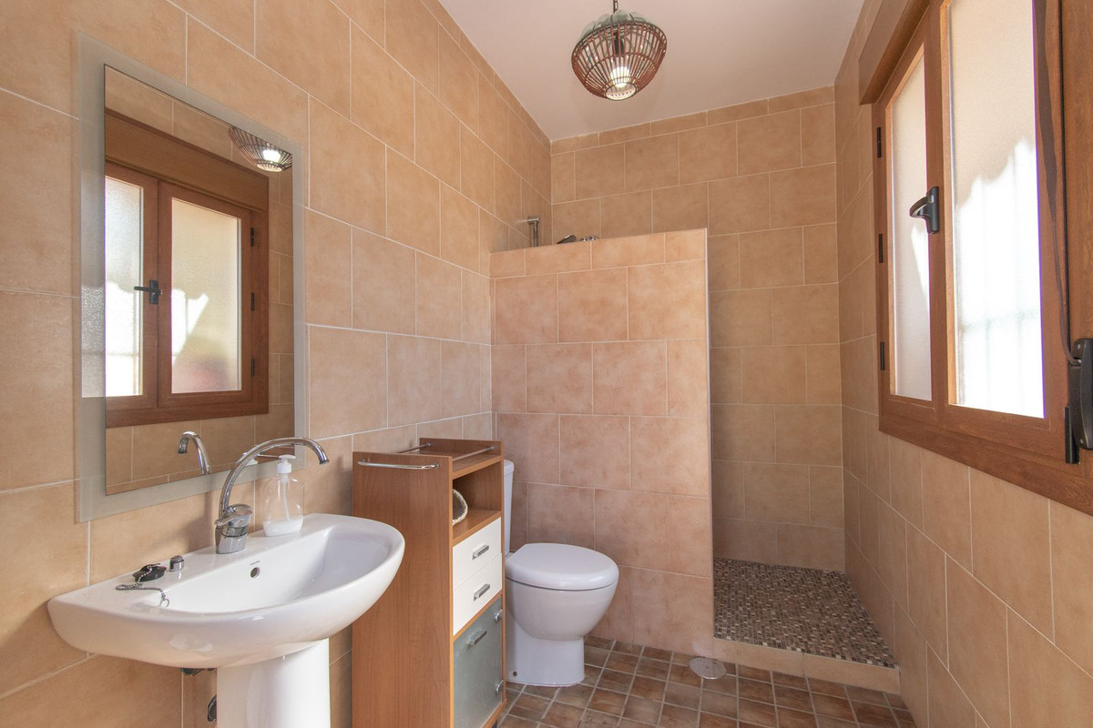 Finca - Cortijo in Riogordo-35