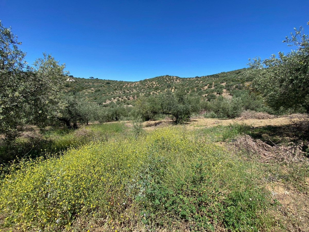 Bungalow te koop in Riogordo | 0 slaapkamers H5408215