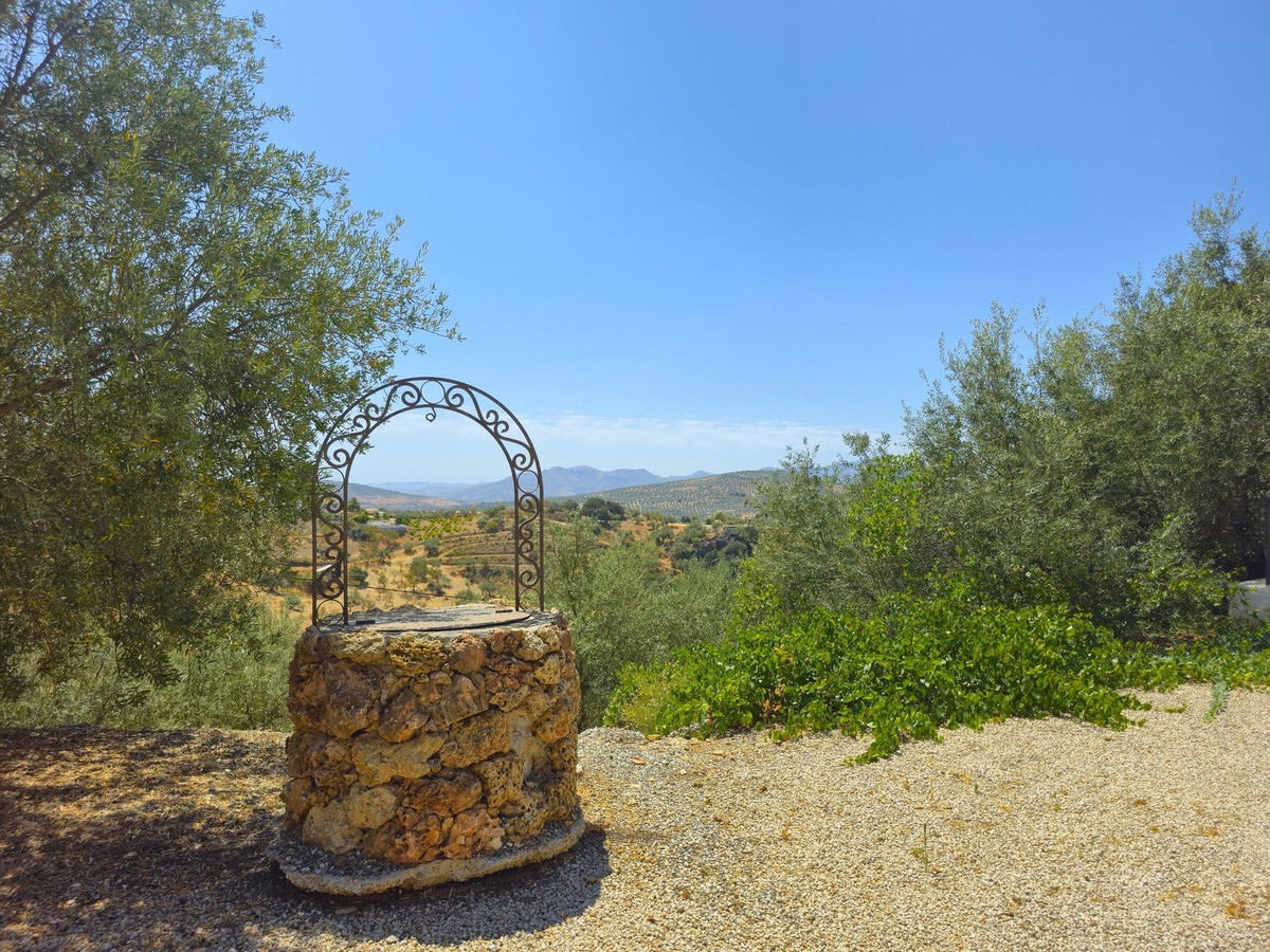 Property main view 57