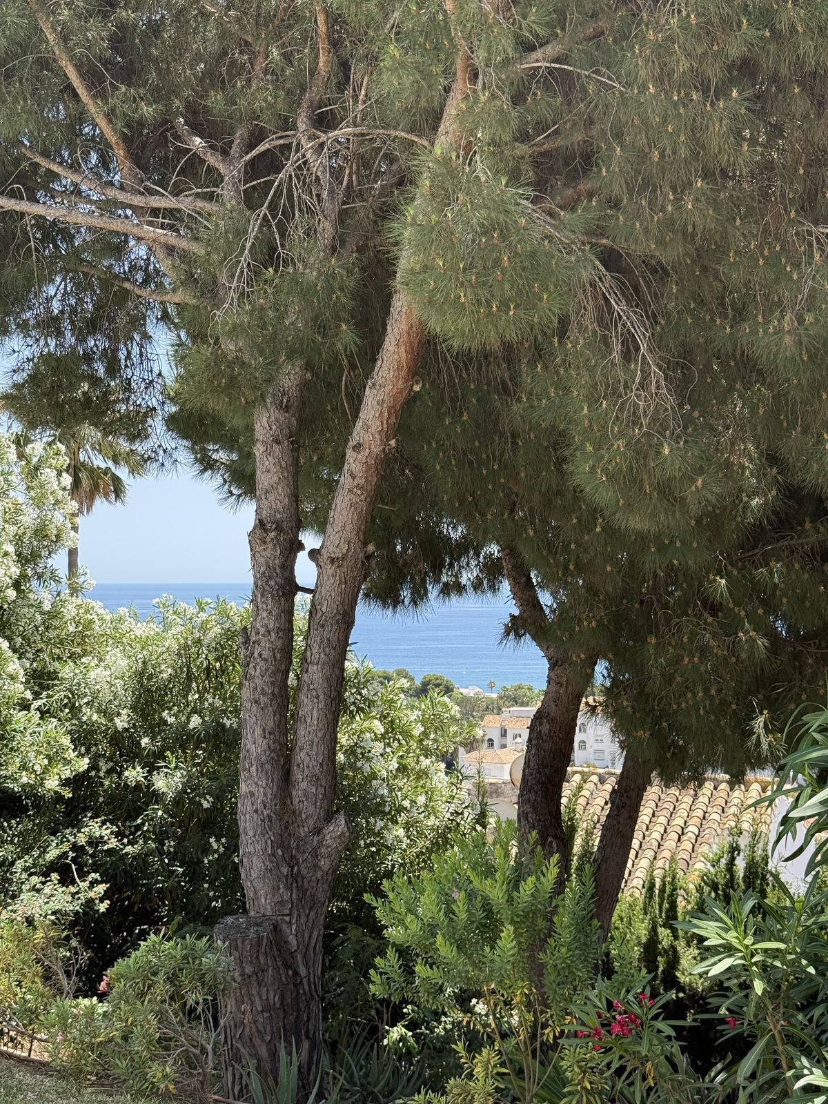 Property main view 48