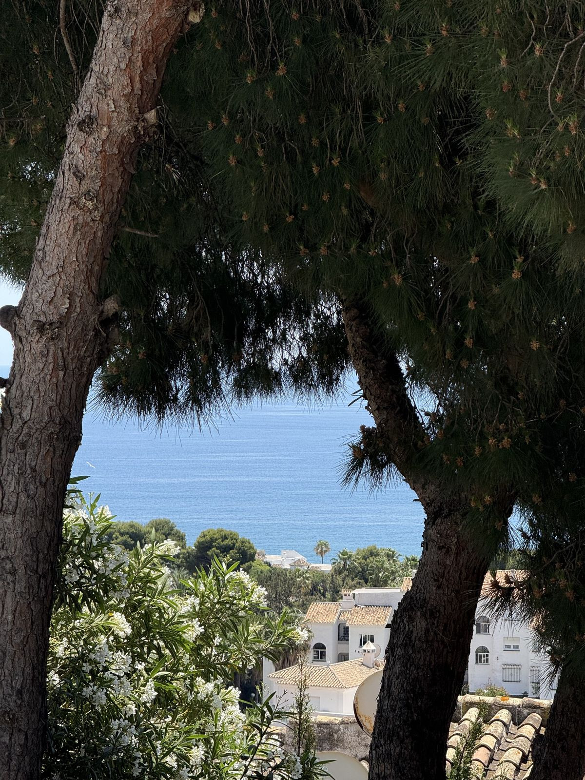 Property main view 49