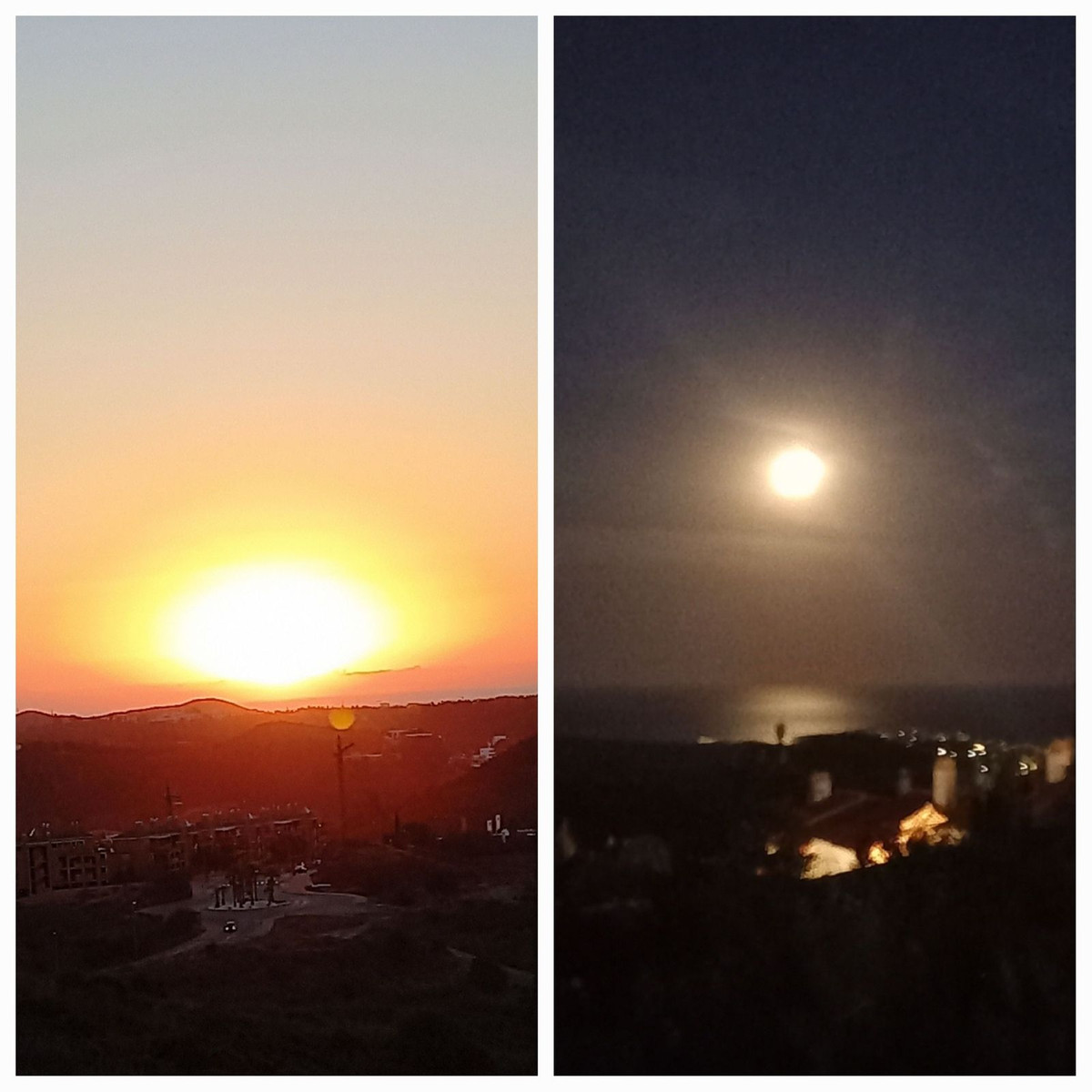 Property main view 51