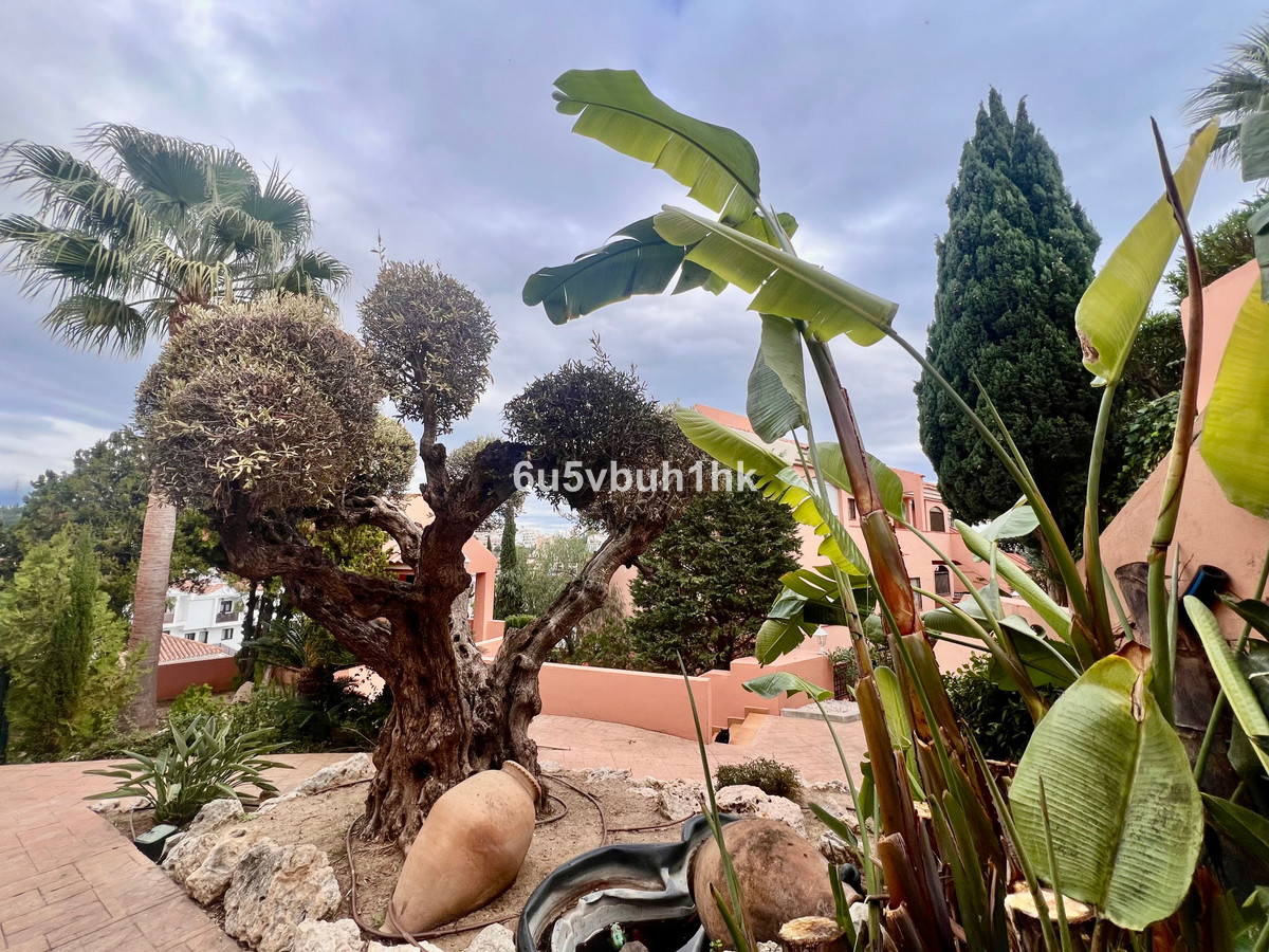 Property main view 14