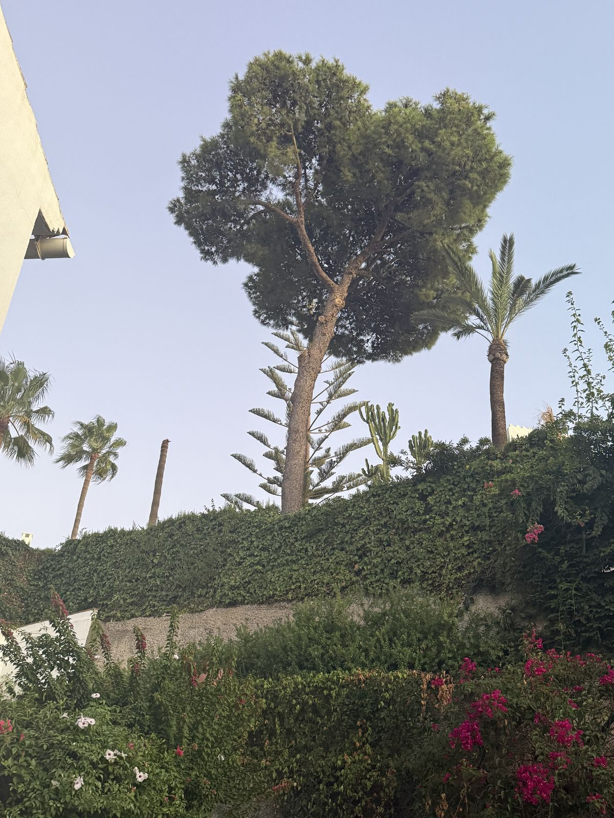 Huis te koop in Riviera del Sol | 3 slaapkamers H5483242