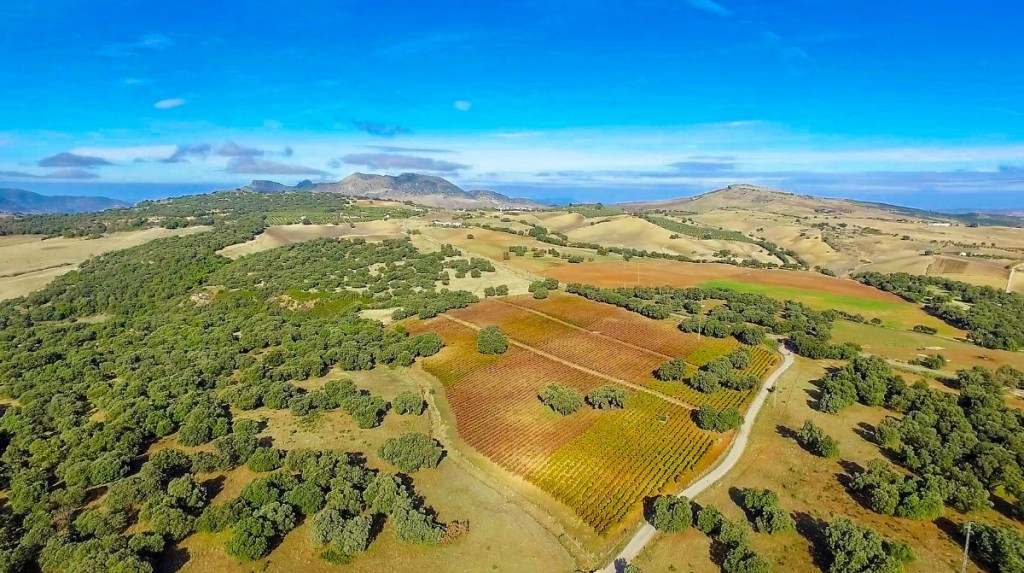 Property main view 11